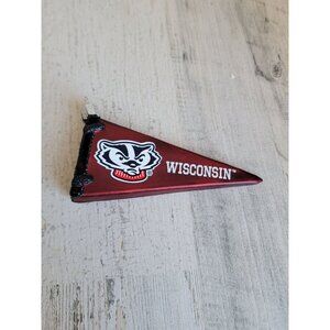 OWC Wisconsin Badgers glass flag ornament Xmas glitter